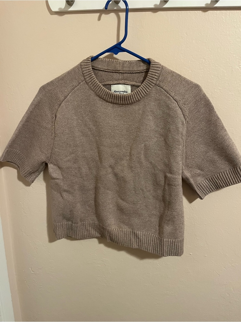 Abercrombie & Fitch Taupe Short-Sleeve Crewneck Sweater